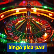 bingo pica pau