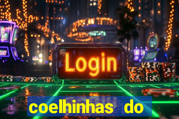 coelhinhas do brasil acompanhantes