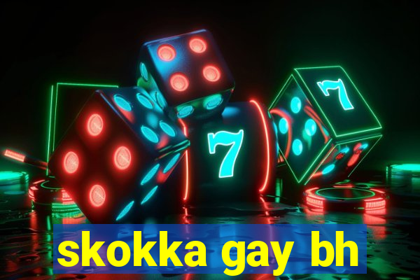 skokka gay bh