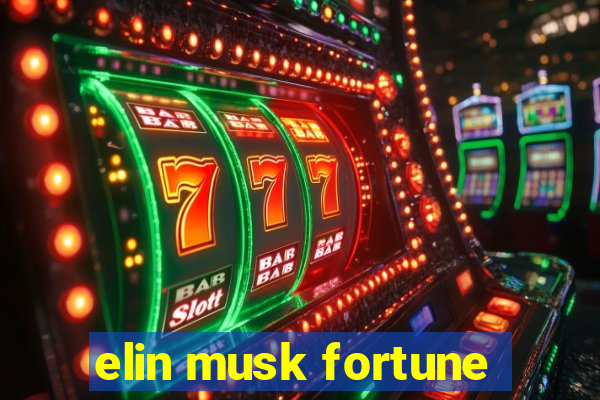 elin musk fortune