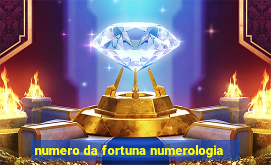 numero da fortuna numerologia