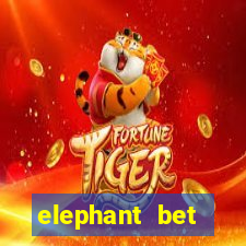 elephant bet angofoot apostas desportivas