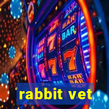 rabbit vet