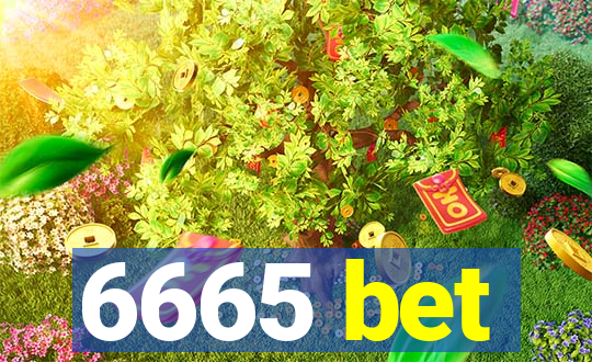 6665 bet