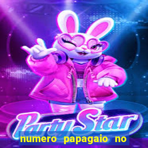 numero papagaio no jogo do bicho