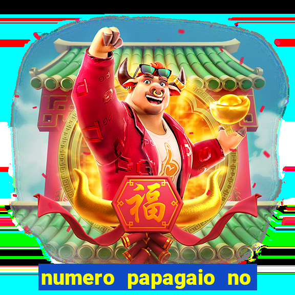 numero papagaio no jogo do bicho