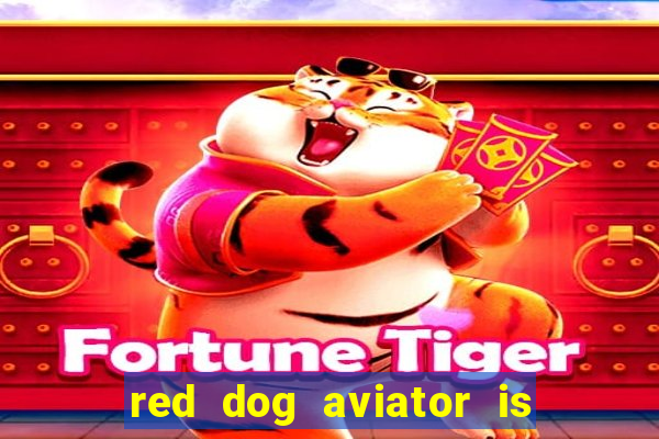 red dog aviator is real or fake