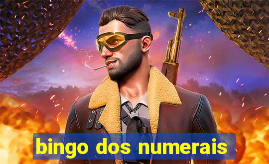 bingo dos numerais