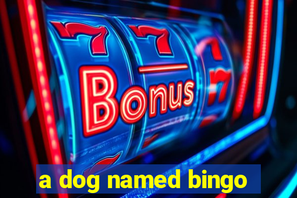 a dog named bingo