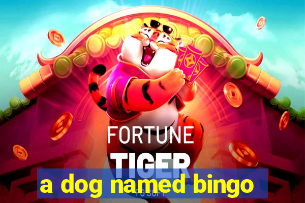 a dog named bingo