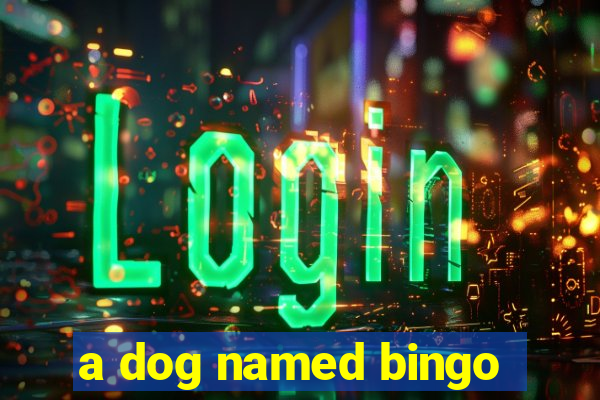 a dog named bingo