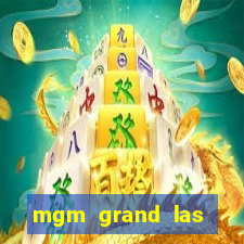 mgm grand las vegas casino