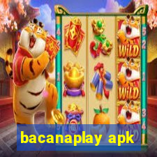 bacanaplay apk