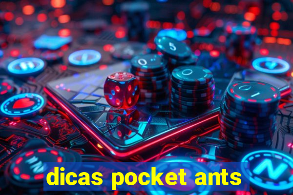 dicas pocket ants