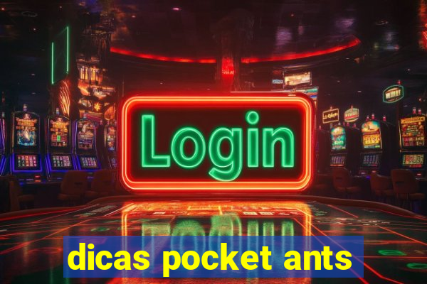 dicas pocket ants