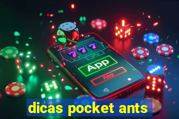 dicas pocket ants