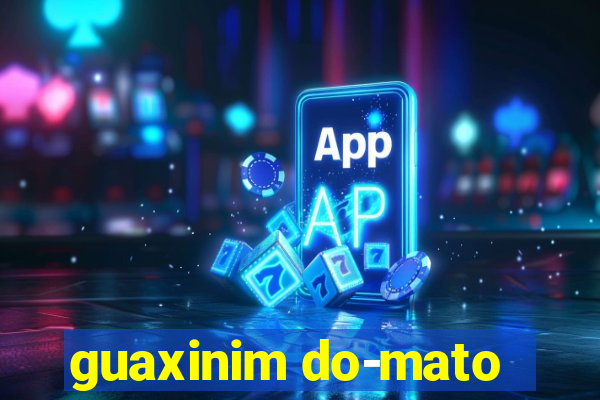 guaxinim do-mato