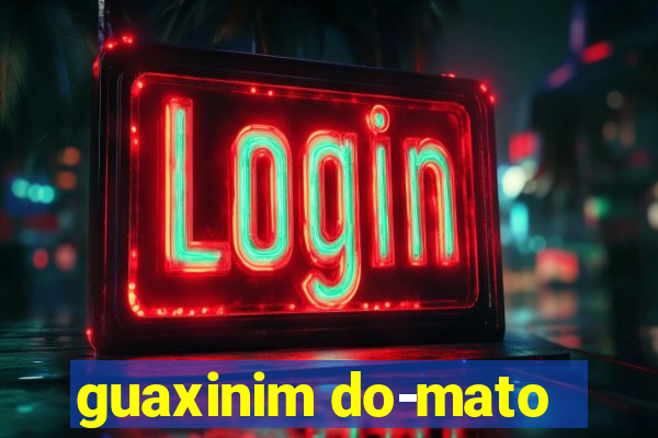 guaxinim do-mato