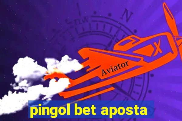 pingol bet aposta