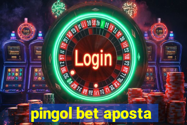 pingol bet aposta