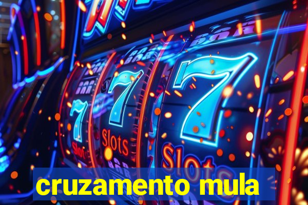 cruzamento mula