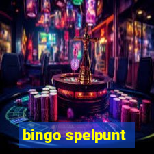 bingo spelpunt