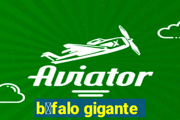 b煤falo gigante