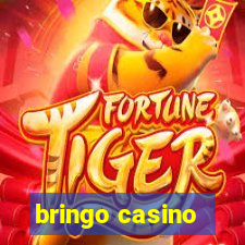 bringo casino