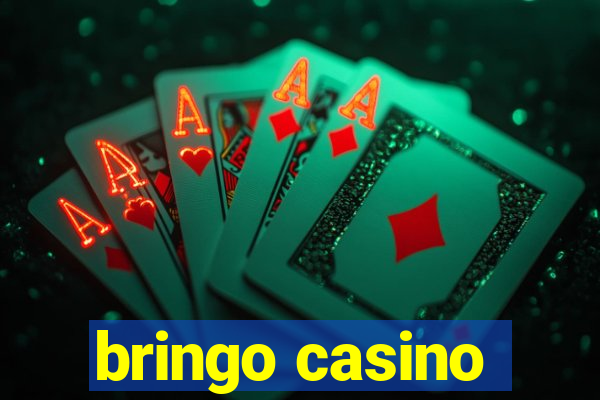 bringo casino