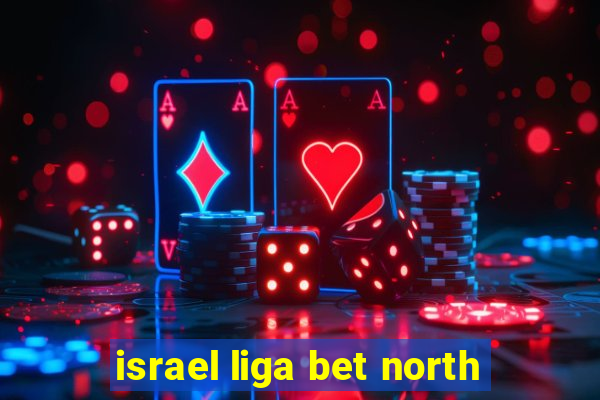 israel liga bet north