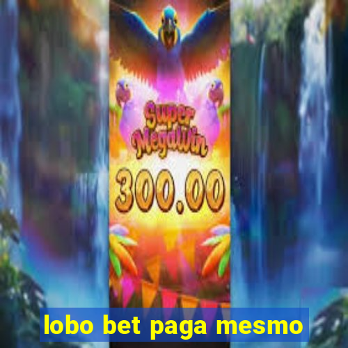 lobo bet paga mesmo