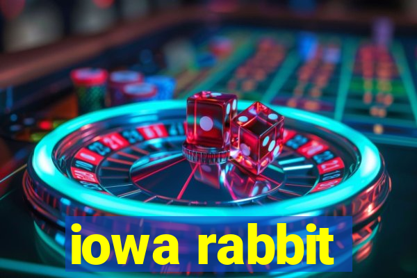 iowa rabbit