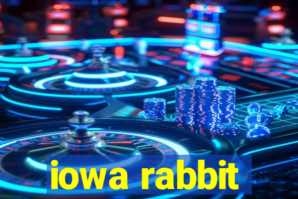 iowa rabbit