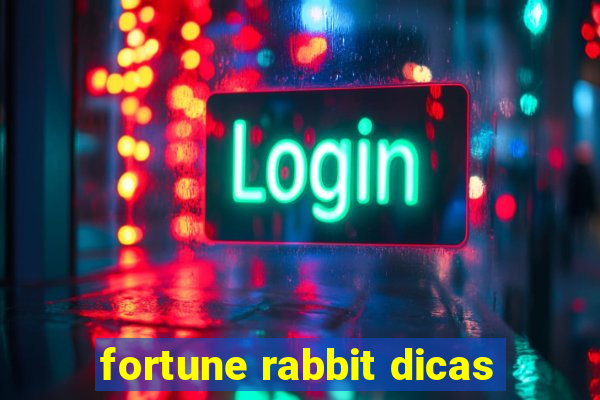 fortune rabbit dicas