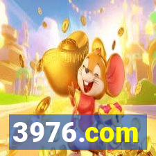 3976.com