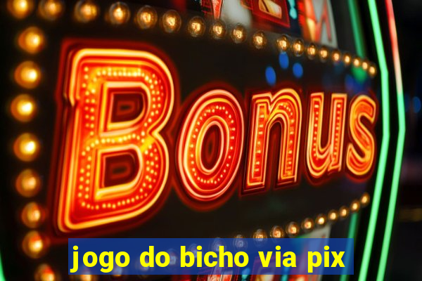 jogo do bicho via pix