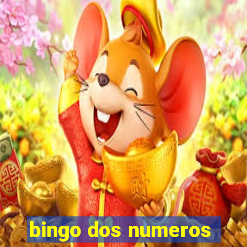 bingo dos numeros