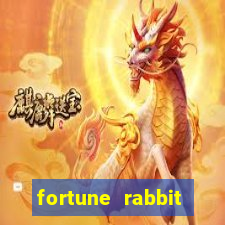 fortune rabbit melhor horário