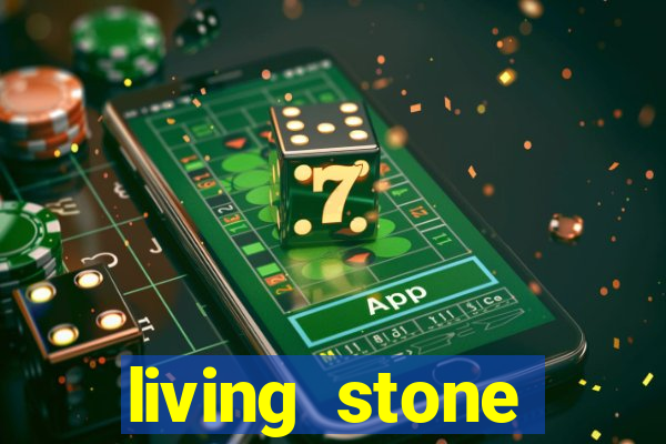 living stone network tv