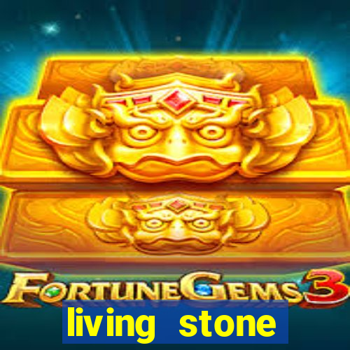 living stone network tv