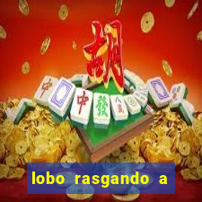 lobo rasgando a roupa meme