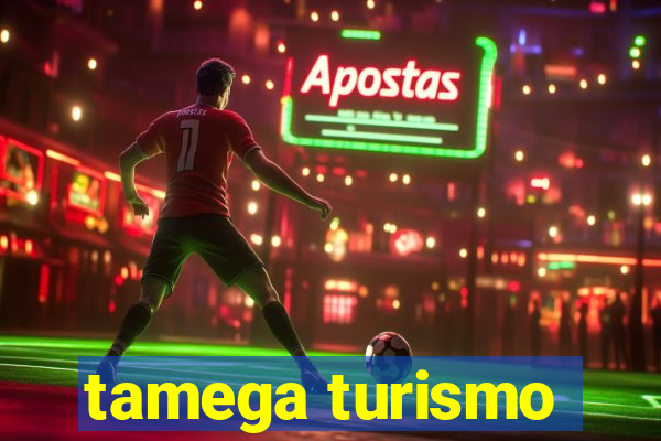 tamega turismo