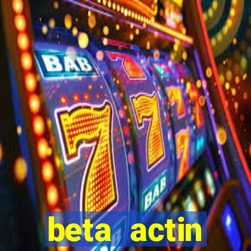 beta actin molecular weight