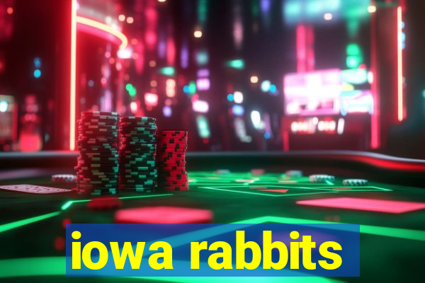 iowa rabbits