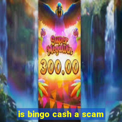 is bingo cash a scam