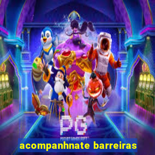 acompanhnate barreiras