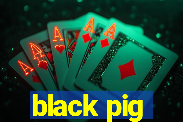 black pig