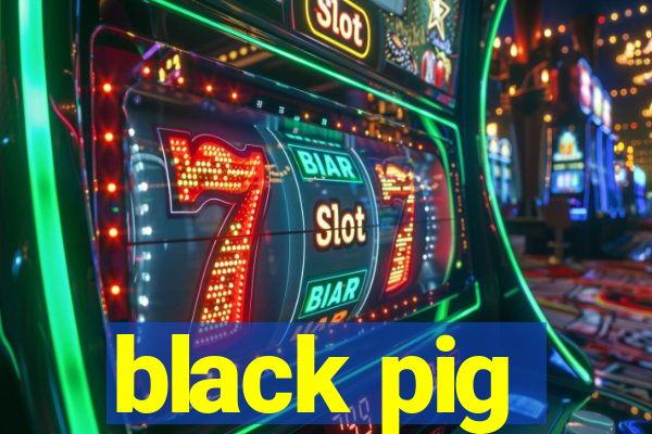 black pig