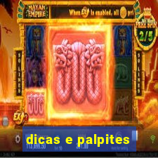 dicas e palpites