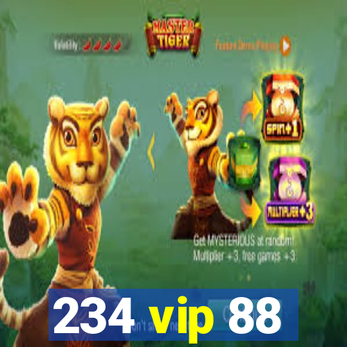 234 vip 88